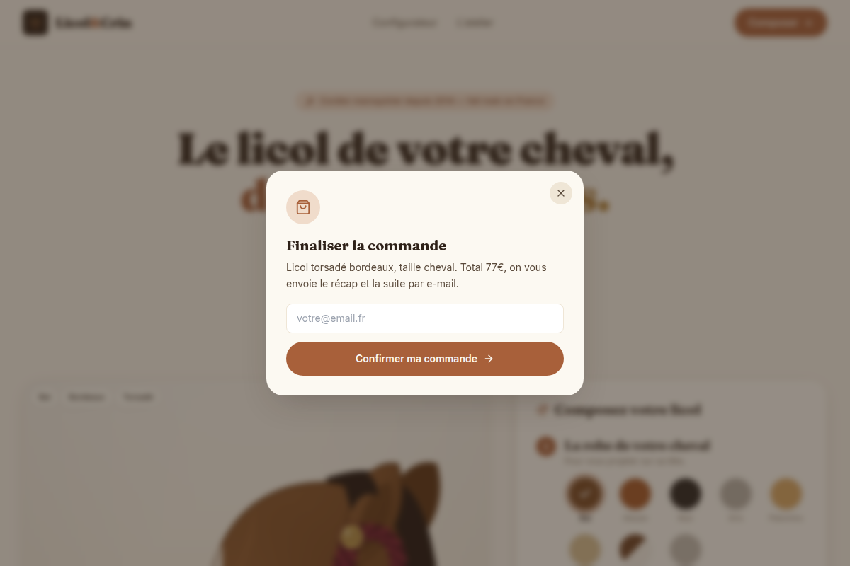 Commande ou devis capturés par email