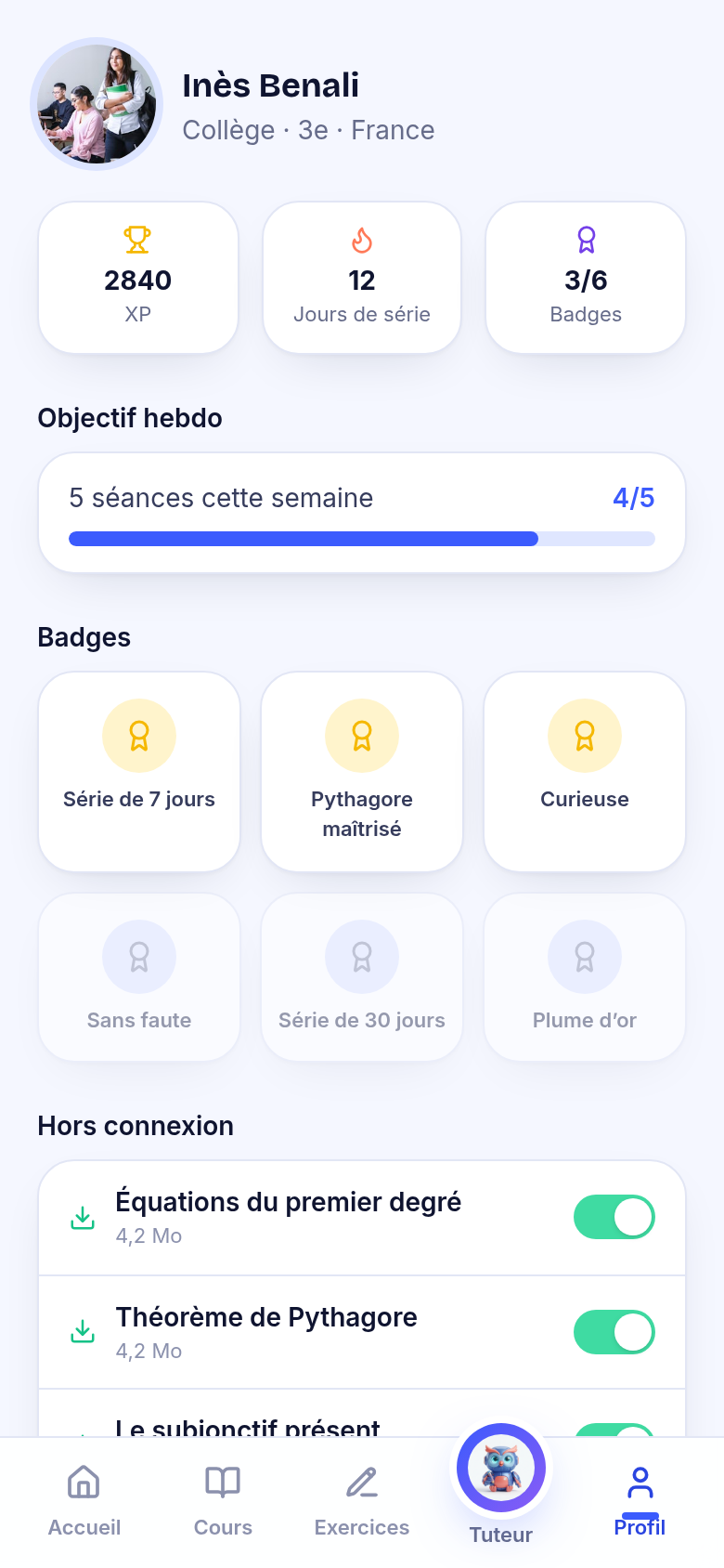 Profil élève : badges et série en cours