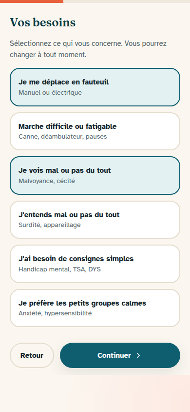 Profil de besoins : fauteuil et vision sélectionnés