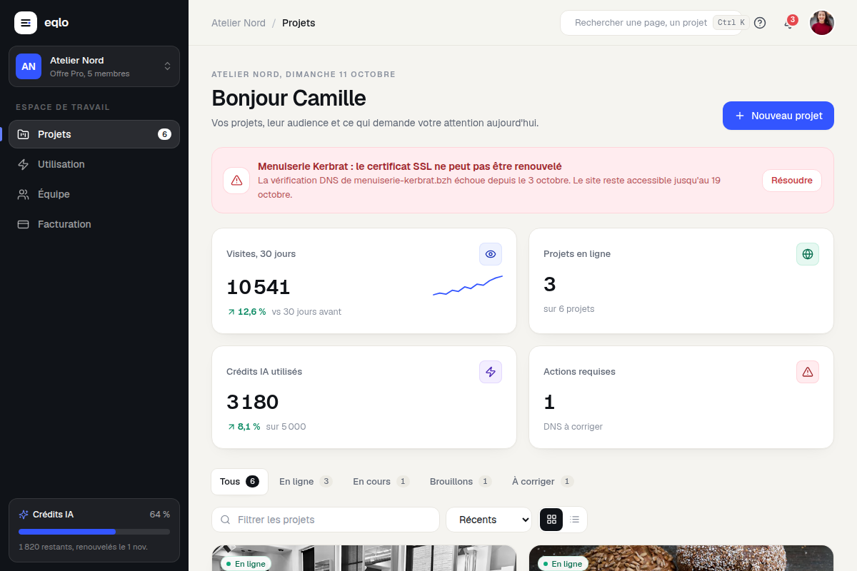 Vue d'ensemble du compte : projets et alertes