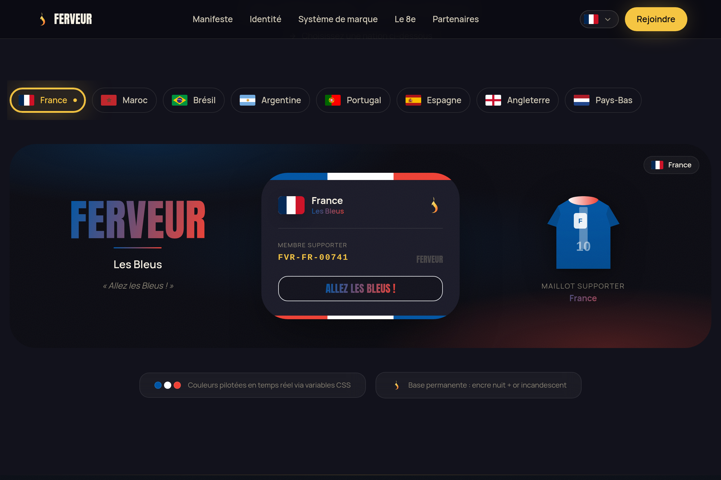 Système adaptatif : identité aux couleurs France