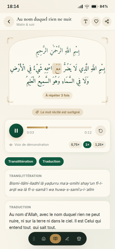 Lecture guidée mot à mot