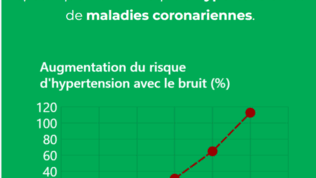Pédagogie visuelle de l'impact du bruit