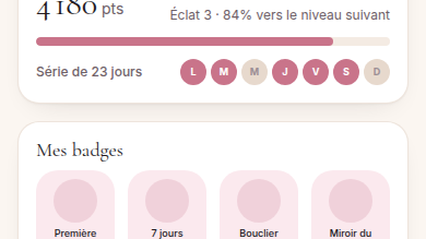 Gamification de la régularité