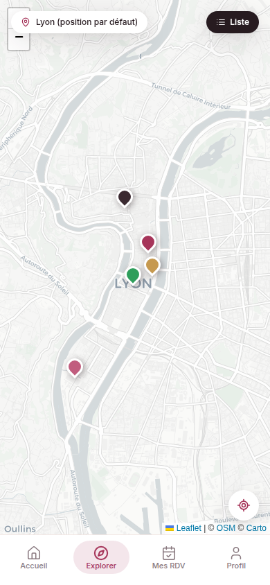 Carte des instituts autour de Lyon