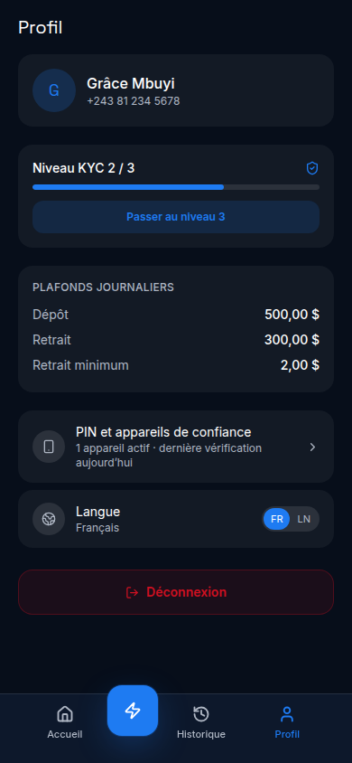 Profil, niveau KYC et plafonds