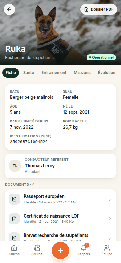 Fiche d’un chien : identité et documents