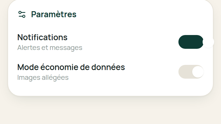 Pensée pour les connexions lentes