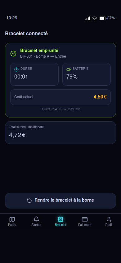 Bracelet emprunté, coût calculé en direct