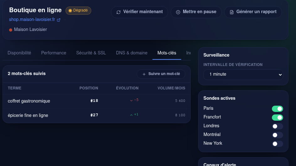 Positionnement SEO suivi dans le même outil