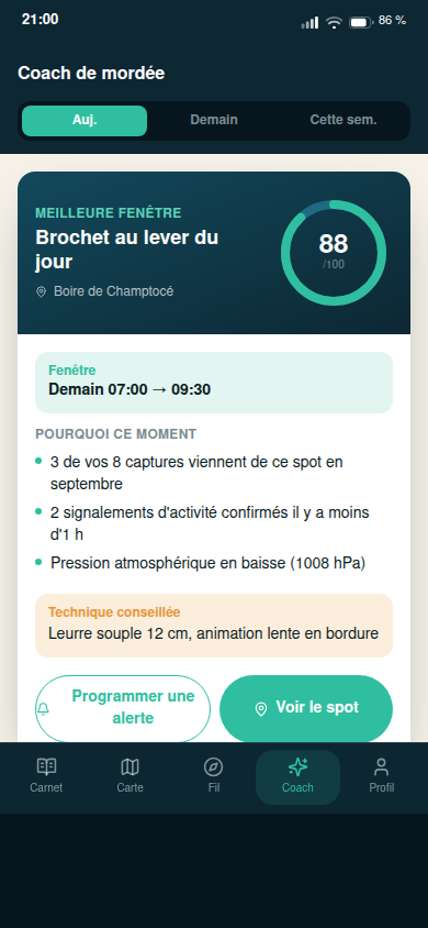 Coach de mordée : indice, fenêtre, technique