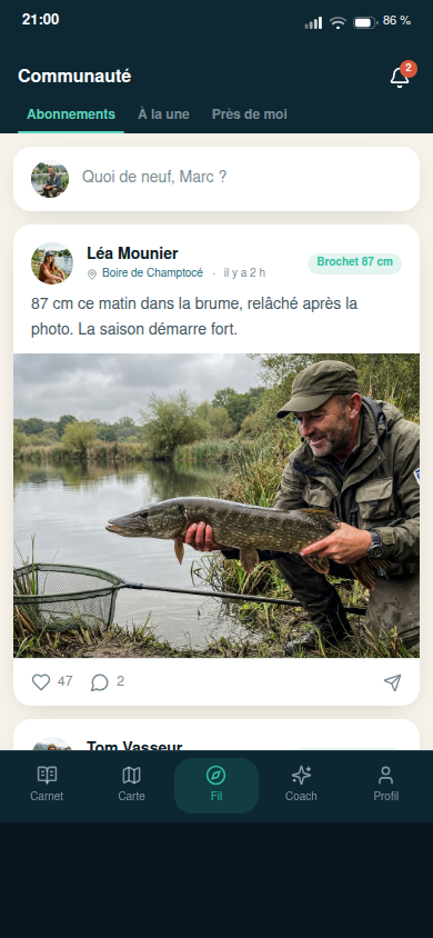 Fil communautaire : posts, likes, commentaires