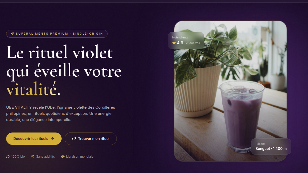 Direction artistique dark luxury